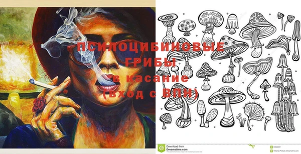 прущие крисы Бородино
