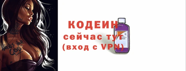 прущие крисы Бородино