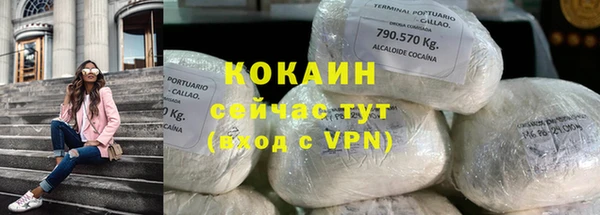 прущие крисы Бородино