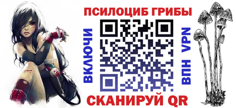 где купить наркоту  Гусиноозёрск  Галлюциногенные грибы Psilocybine cubensis 